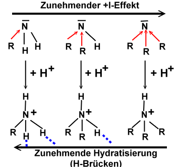 Amine - induktive und Hydratisierungseffekte